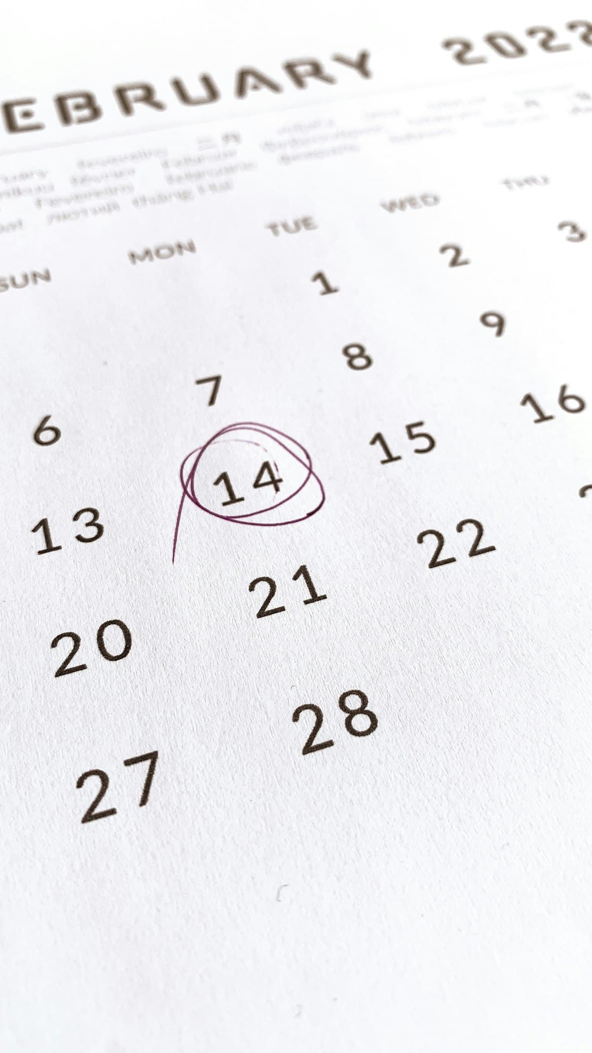 Limitation Period in India: Why Filing on Time Matters